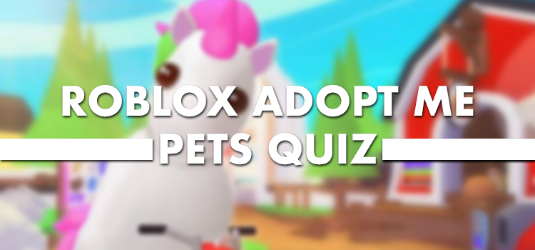 Quiz Diva Roblox Adopt Me Pet Quiz - roblox test quiz